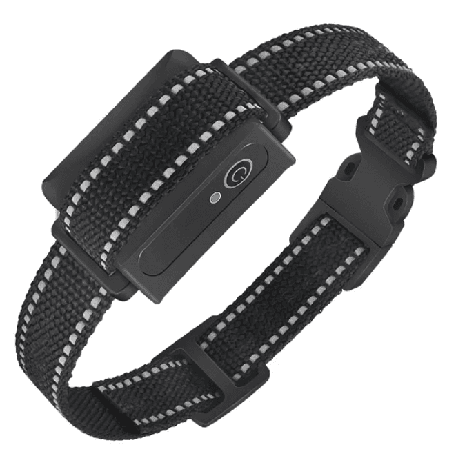 Dog Training Collar Receiver IP67 Waterproof