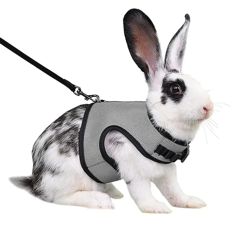 Mesh Breathable Ferret Bunny Harness Leash Set for Small Animals Rabbit Hamsters Summer Walking Pet Lead Mascotas Accessories