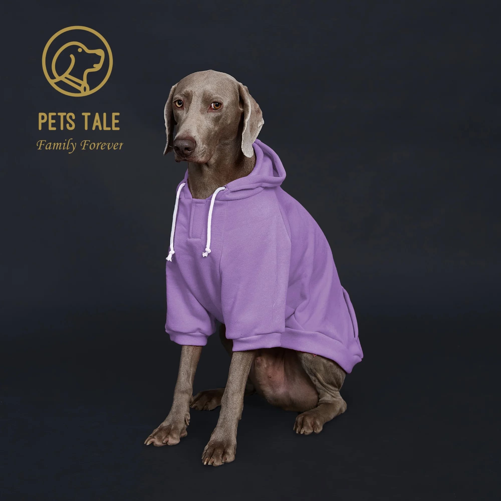 Solid Color Dog Hoodie with Pocket, Leather Patch, Hook and Loop Fastener Collar - Available in 5 Colors