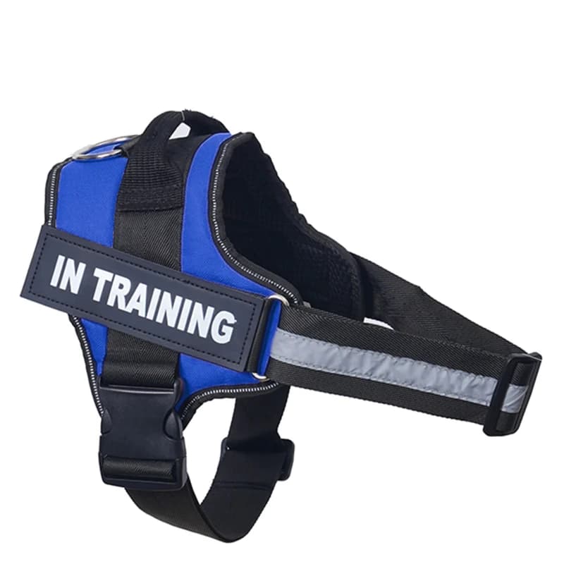 Personalized Dog Harness Reflective Adjustable No-Pull Pet Harness Vest For Small Medium Large Dogs wholesale harness