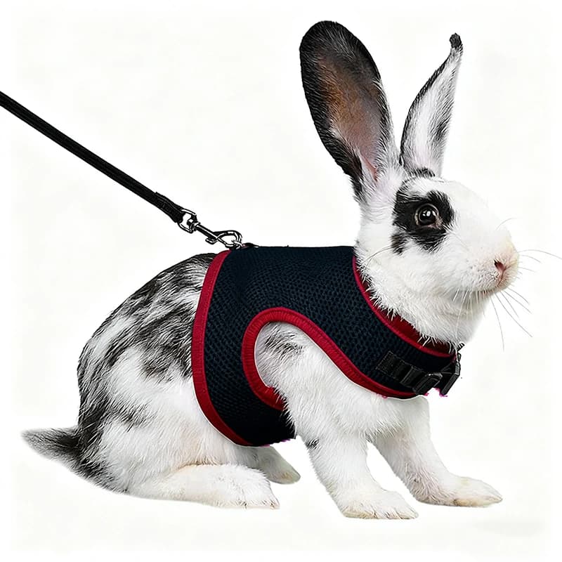 Mesh Breathable Ferret Bunny Harness Leash Set for Small Animals Rabbit Hamsters Summer Walking Pet Lead Mascotas Accessories