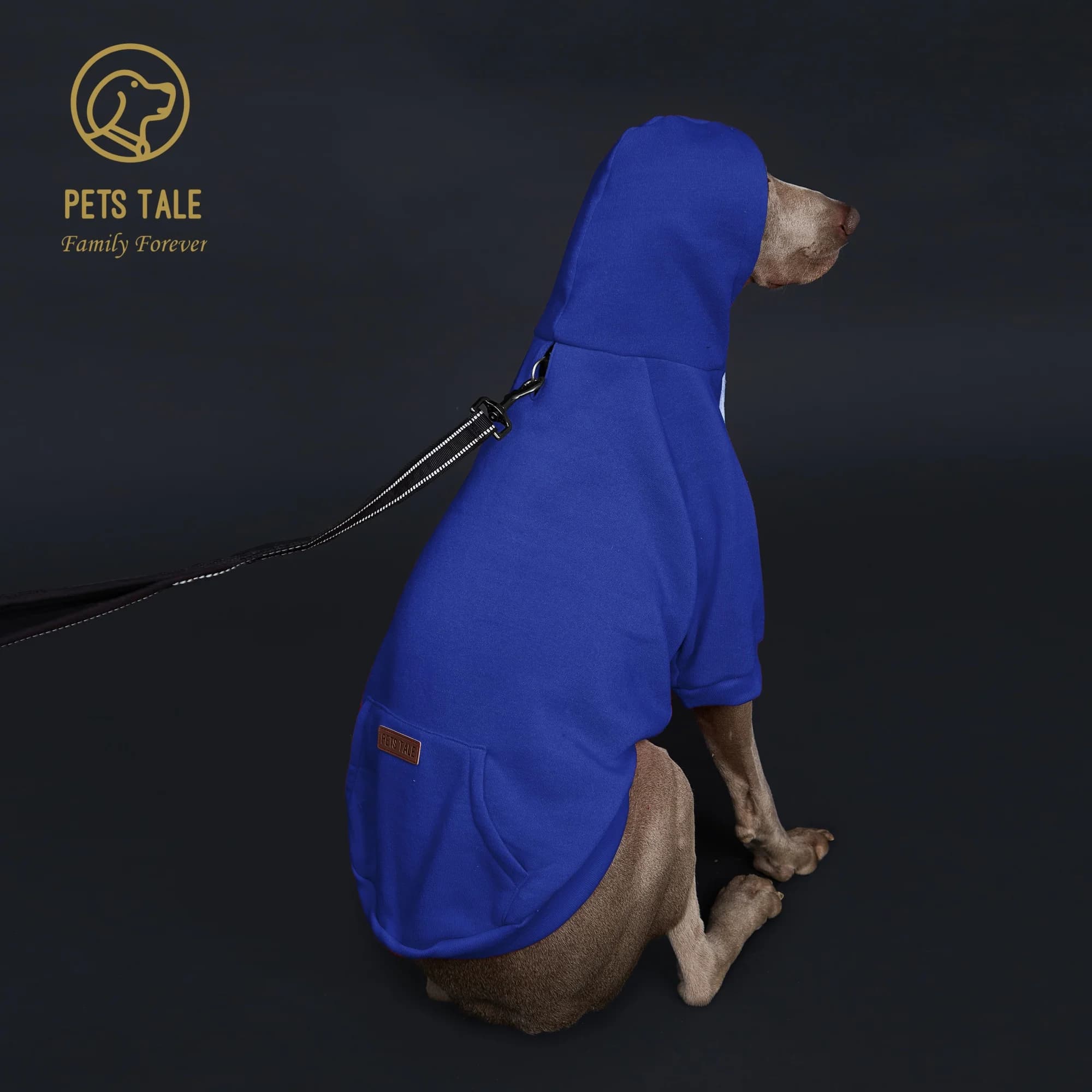 Solid Color Dog Hoodie with Pocket, Leather Patch, Hook and Loop Fastener Collar - Available in 5 Colors