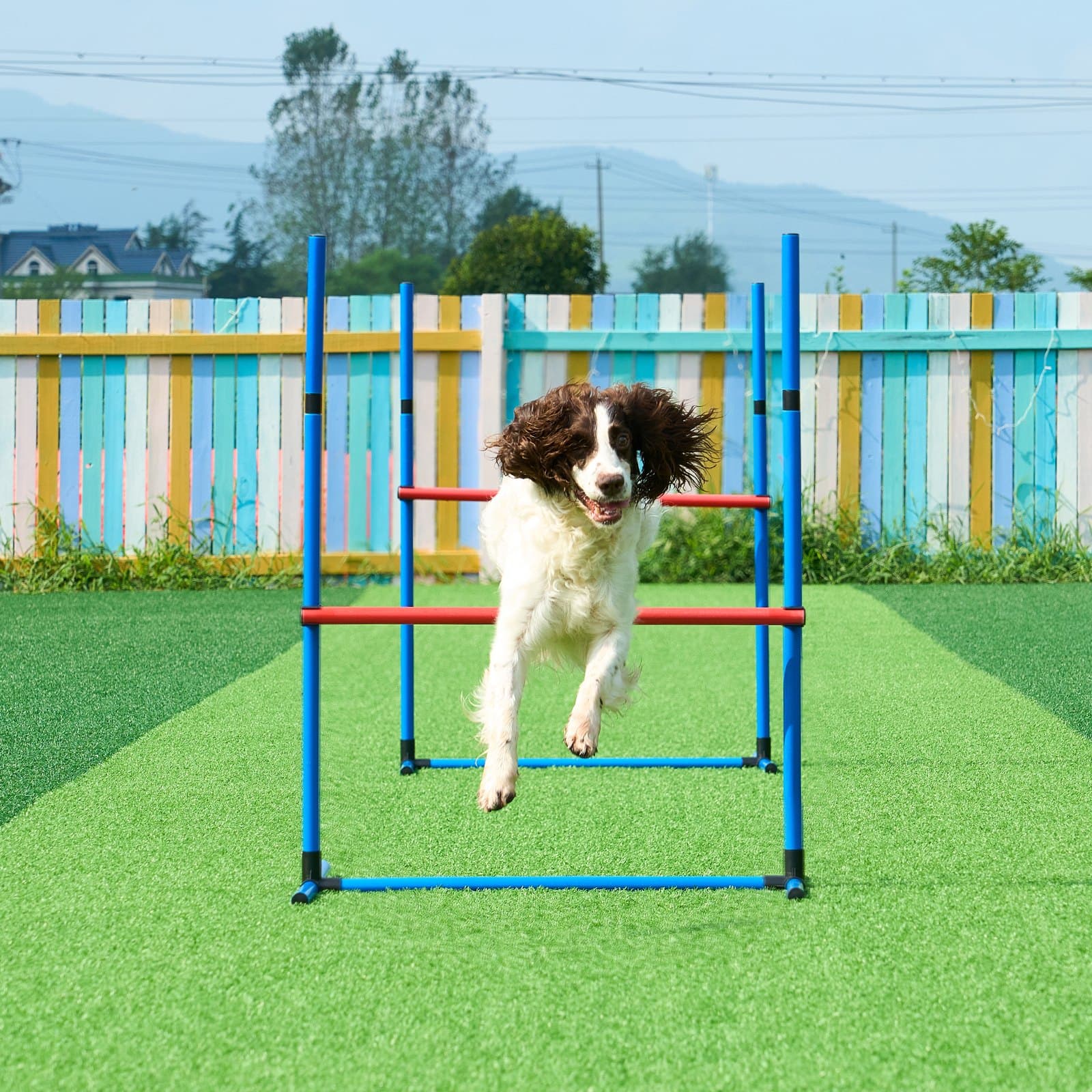 Dog Agility Training Equipment 7 PCS Set W/ Hurdles 2 Tunnels Jump Ring