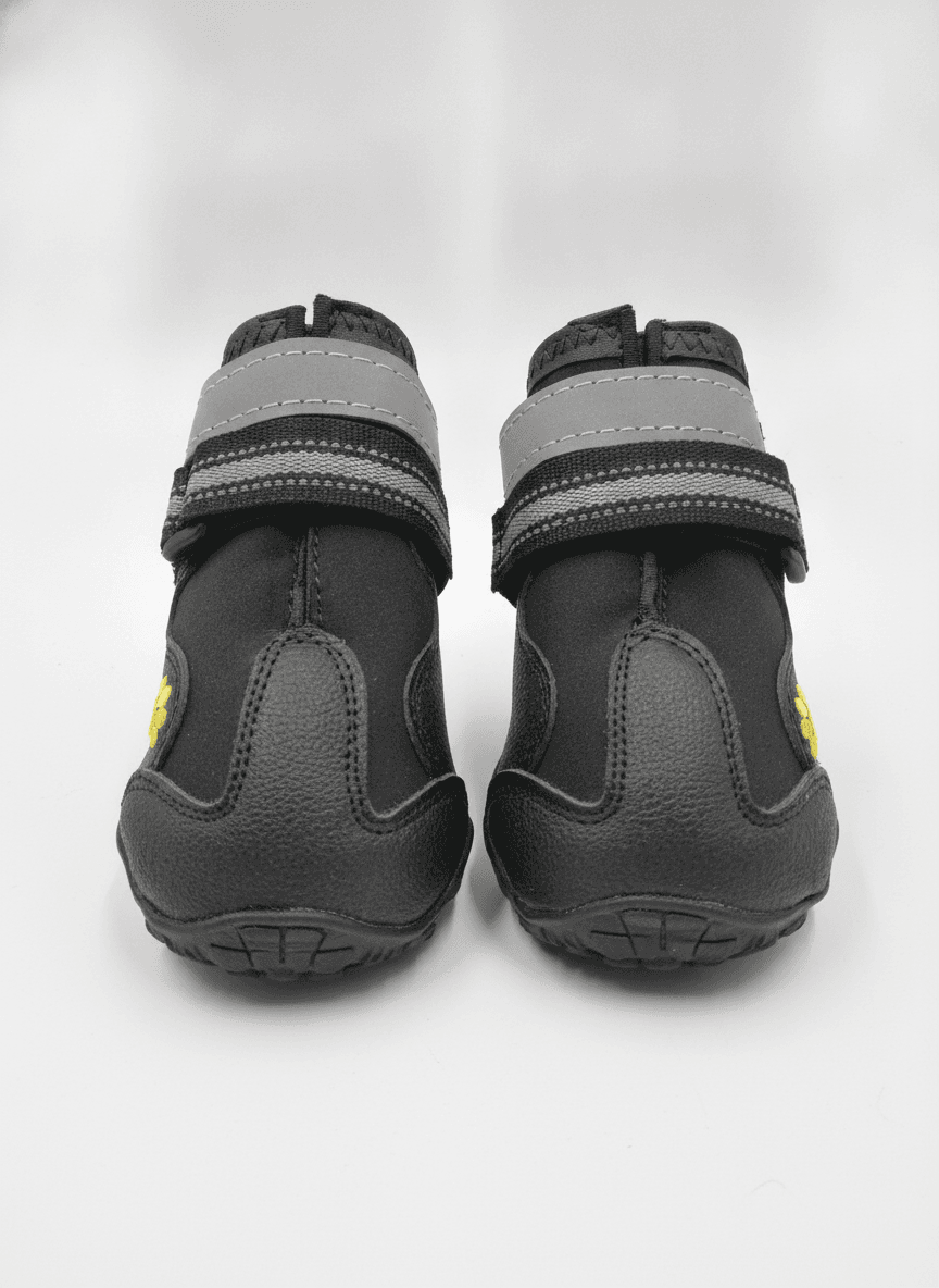 Pet shoes wear dog shoes